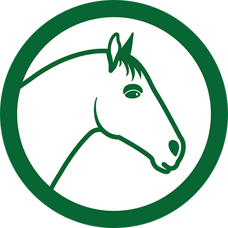 Caballos