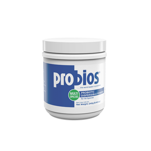 Probióticos y prebióticos