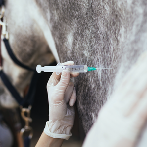 Agujas, jeringas y catéteres