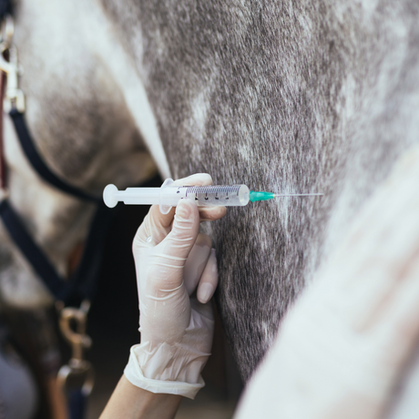 Agujas, jeringas y cateters