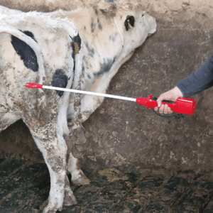 Arreadores e implementos