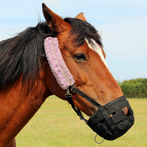 Equipo para control de caballos
