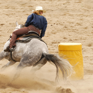 Equipos para deportes ecuestres