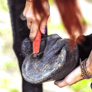 Equipo para herreros