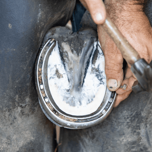Herraduras de aluminio