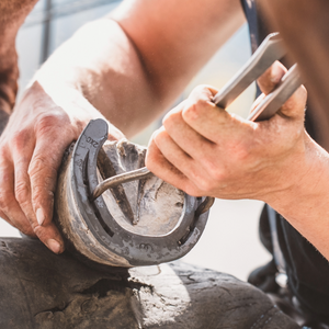 Instrumentos de diagnóstico