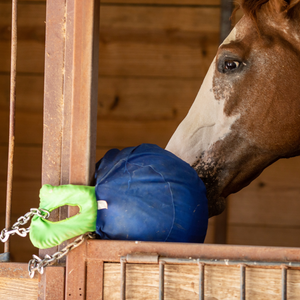 Juguetes y entretenimiento