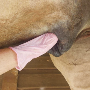 Limpiadores genitales