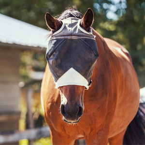 Máscaras contra moscas