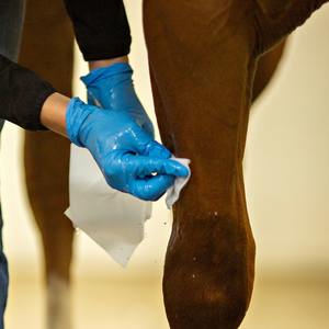 Misceláneos veterinarios