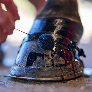 Pinturas para cascos