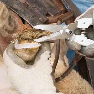 Pinzas y tijeras para bovinos