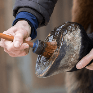 Productos especiales