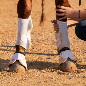 Protectores de mano/pata