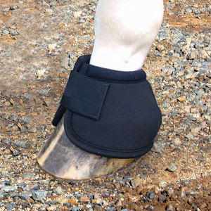 Protectores de campana