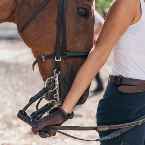 Riendas, bridas y cabezadas
