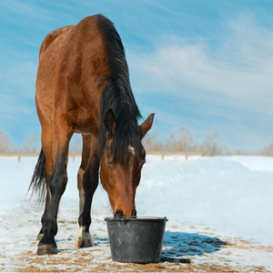 Tinas, comederos y bebederos
