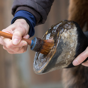 Tratamiento para cascos