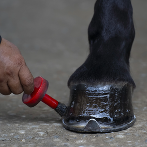Ungüentos y tópicos