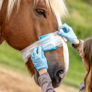 Vendas desechables elásticas
