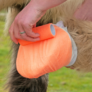 Vendas desechables tipo Vetrap