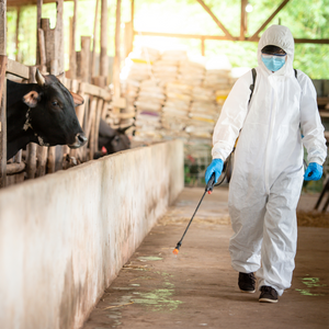 Virucida y germicidas