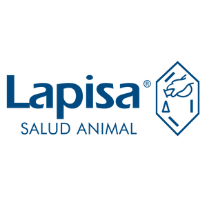 Lapisa