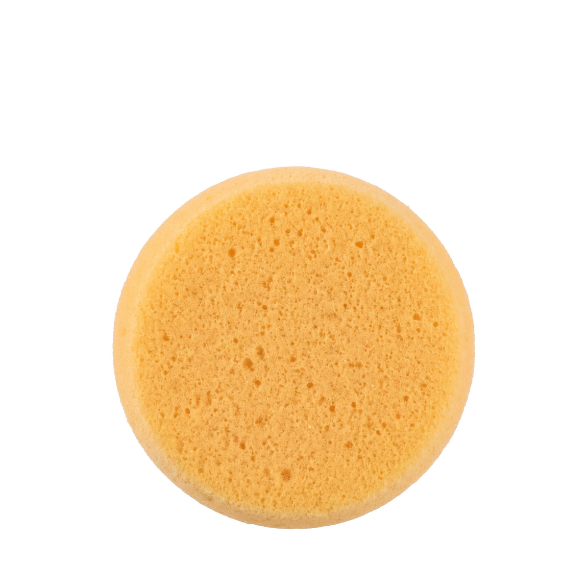 TACK SPONGE DECKER (ESPONJA DECKER PAQUETE CON 12)