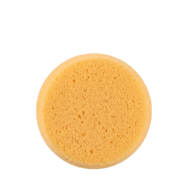 TACK SPONGE DECKER (ESPONJA DECKER PAQUETE CON 12)