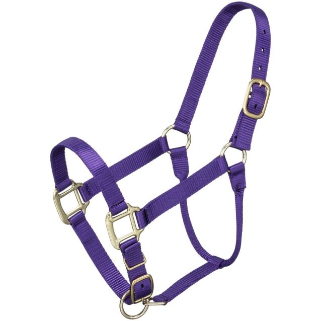 ALMARTIGÓN PREMIUM CABALLO