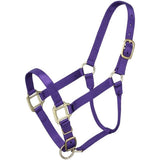 ALMARTIGÓN PREMIUM CABALLO