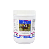 SUPER B-12 POWDER