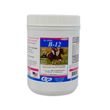 SUPER B-12 POWDER