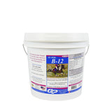 SUPER B-12 POWDER