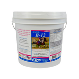 SUPER B-12 POWDER
