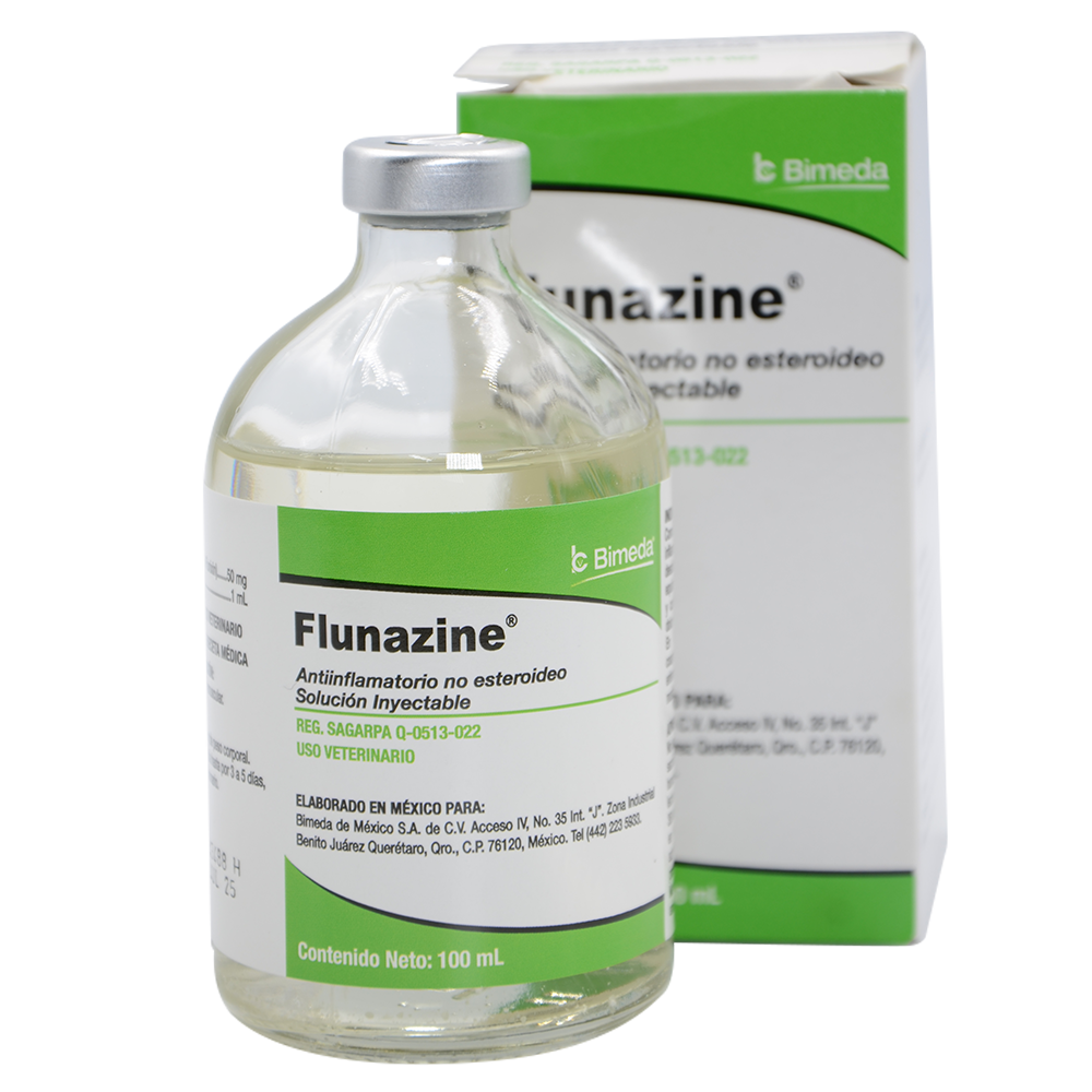 FLUNAZINE 100 ML