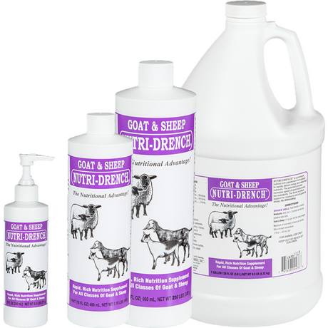 Nutridrench Sheep & Goat, suplemento nutricional para cabras y ovejas | NUTRIFASA