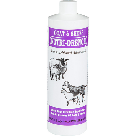 Nutridrench Sheep & Goat, suplemento nutricional para cabras y ovejas | NUTRIFASA