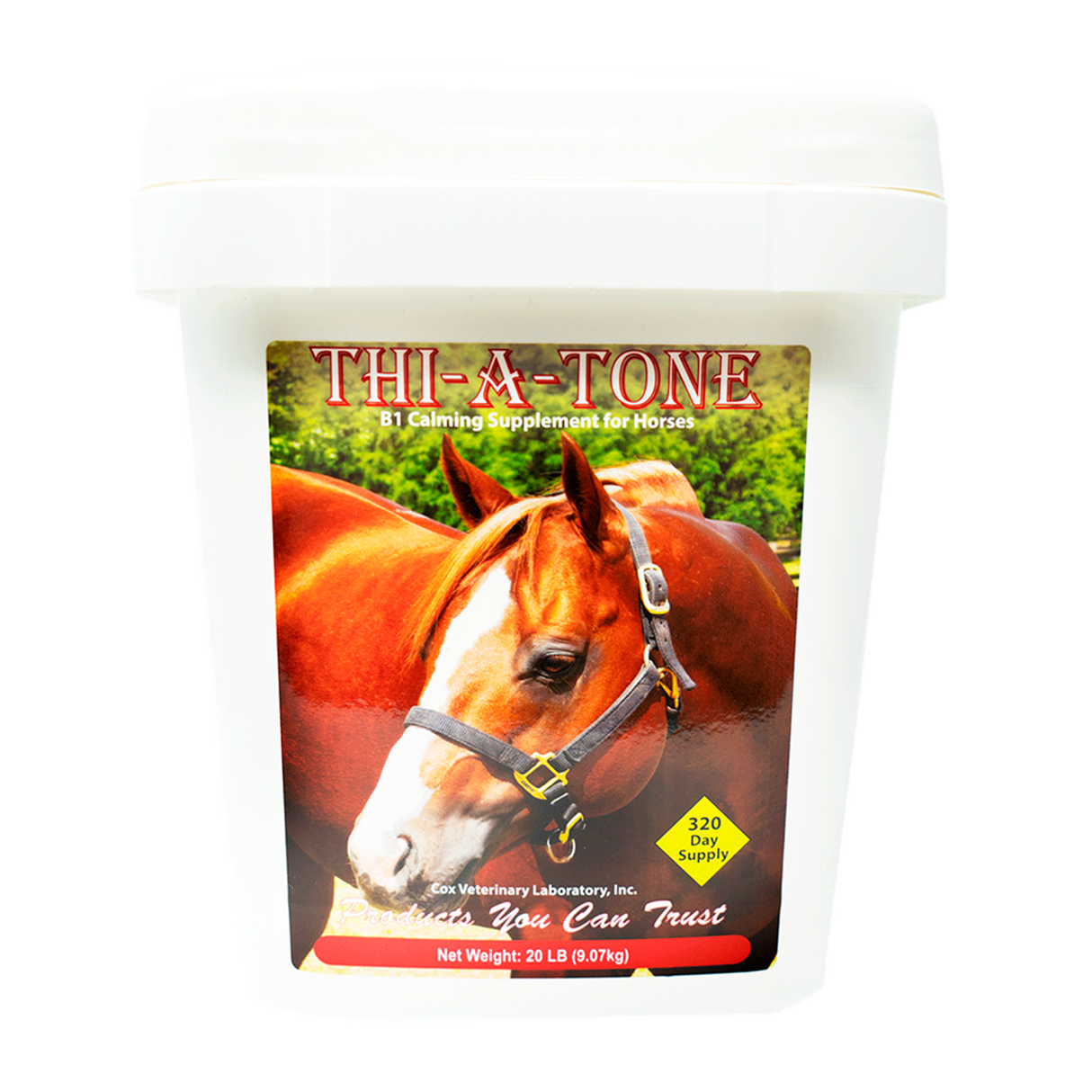 THI-A-TONE VITAMIN B-1