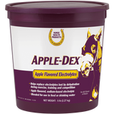 APPLE DEX ELECTROLYTES (ELECTROLITOS SABOR MANZANA)