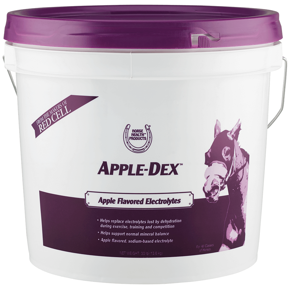 APPLE DEX ELECTROLYTES (ELECTROLITOS SABOR MANZANA)