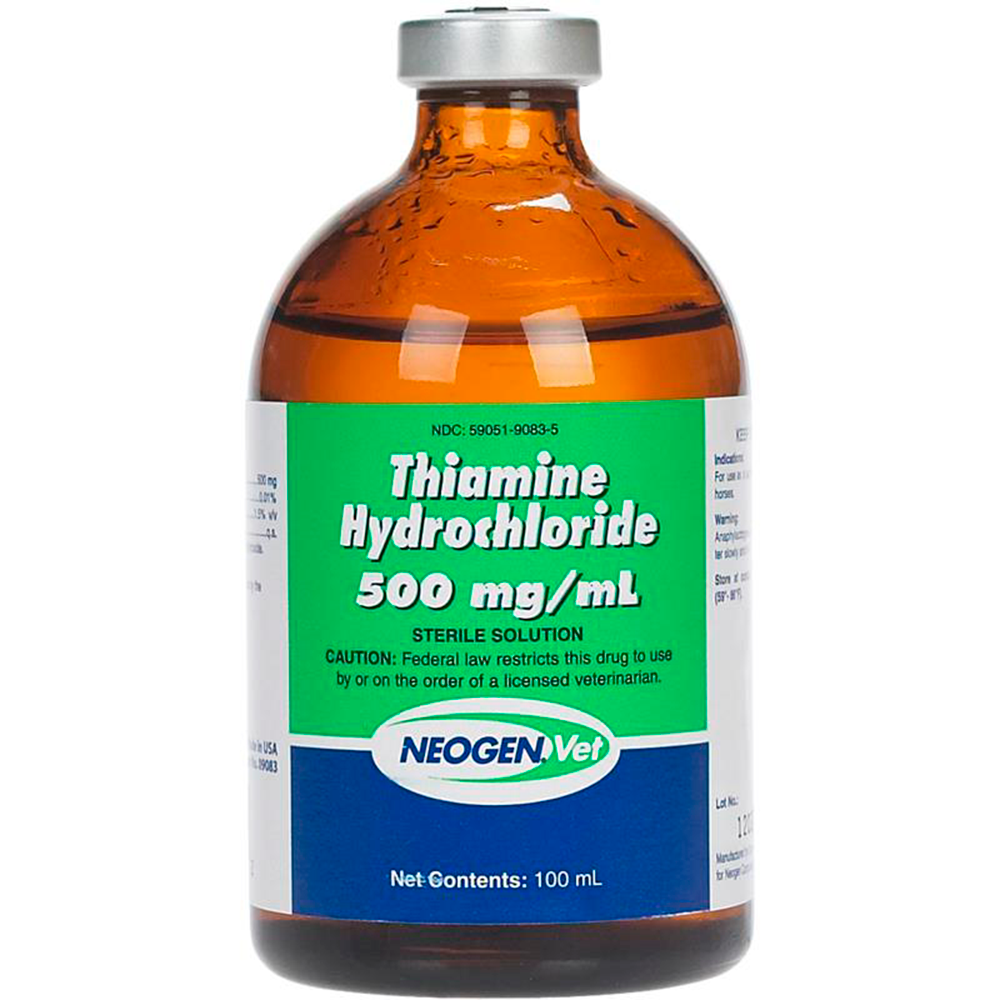TIAMINA INYECTABLE 500 MG 100 ML