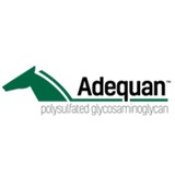 ADEQUAN I.M (PSGAG) 5 ml/500 mg (RX) (Venta x Unidad)
