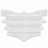 FLAIR EQUINE NASAL STRIPS PAQUETE DE 6