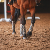 Caballo al galope con los cuatro miembros protegidos con vendas polo 5/A Baker