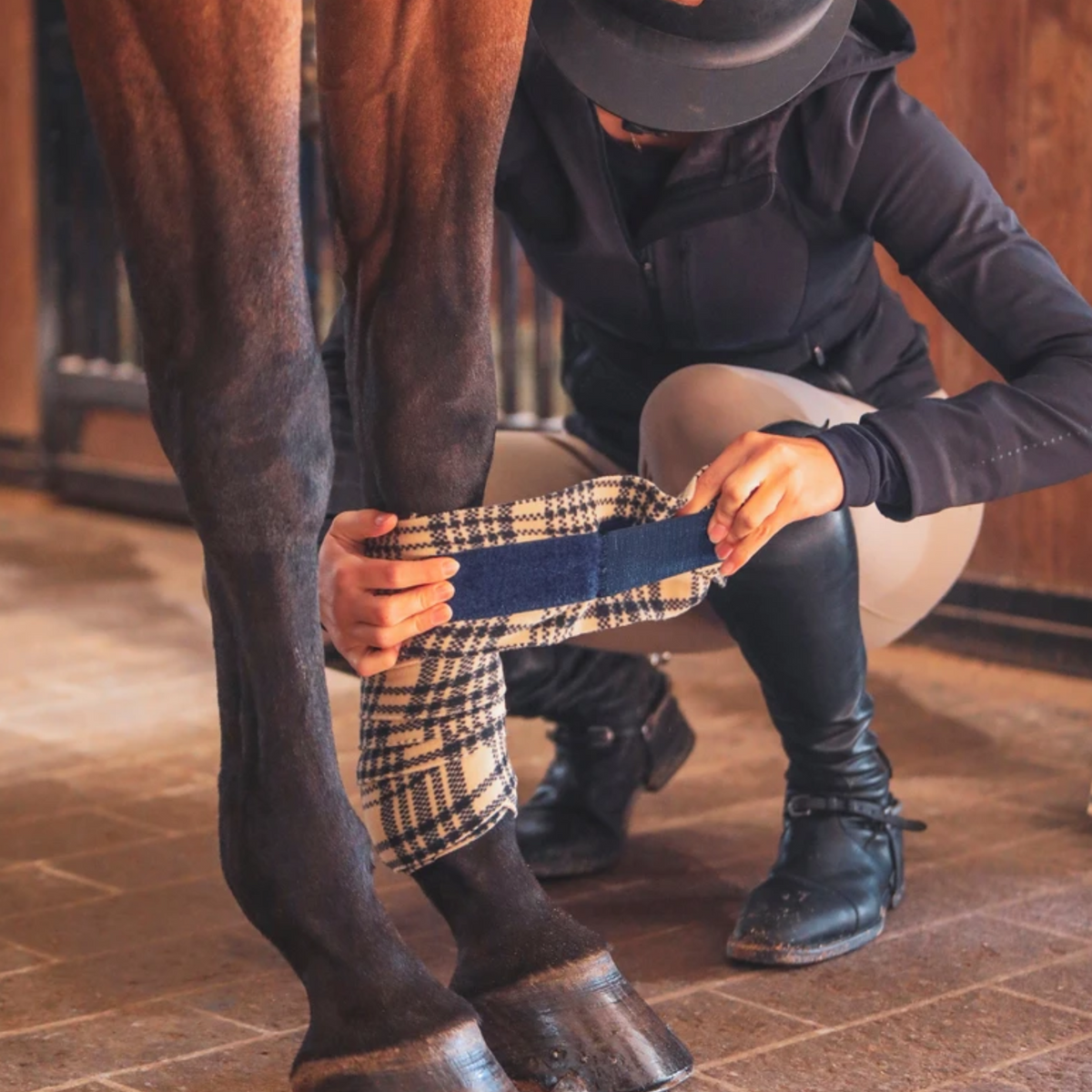 Colocación de una venda polo BakerFleece en el miembro de un caballo