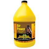 AIR POWER