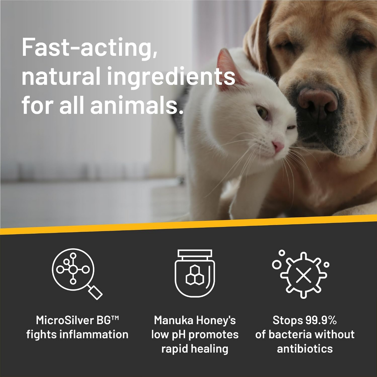 Dos perros, los ingredientes naturales de acción rápida de Silver Honey son seguros para todos los animales