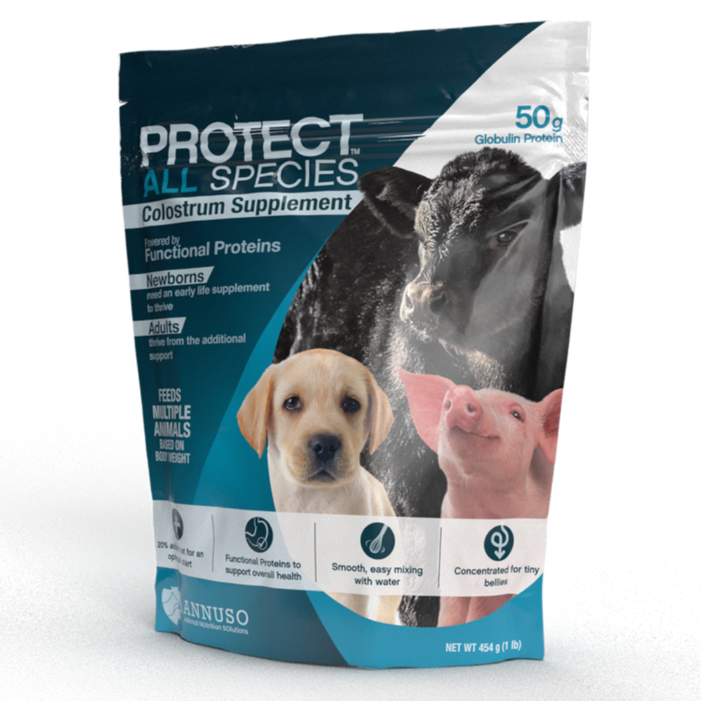 LIFELINE PROTECT ALL SPECIES COLOSTRUM SUPPLEMENT 1 LB (SUPLEMENTO DE CALOSTRO PARA TODAS LAS ESPECIES)