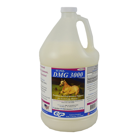 SUPER DMG 3000 LIQUIDO